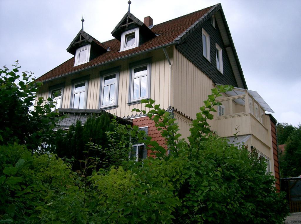 באד גרונד Pension Haus Martha מראה חיצוני תמונה
